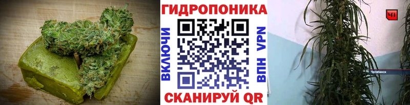 Купить Бирюч Печенье с ТГК марихуана