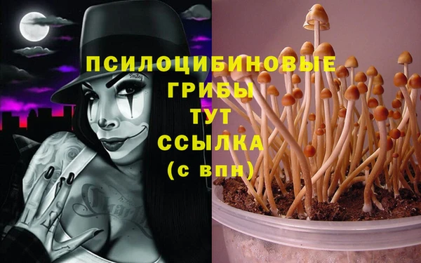гидропоника Богородицк