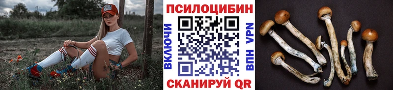 Купить закладки  Бирюч  Псилоцибиновые грибы мухоморы 