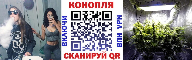 Конопля Ganja  Купить где  Бирюч 